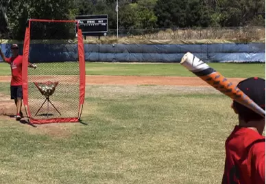 Red de práctica de béisbol Grupo V