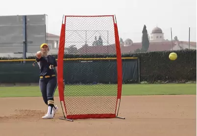 Red de práctica de béisbol Grupo V