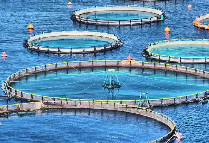 Redes de acuicultura de aguas profundas