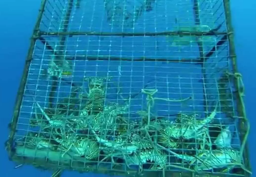 Redes de acuicultura de aguas profundas