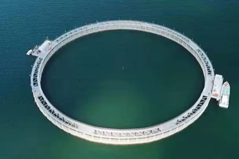 Proyecto de red para tiburones del Hotel Bao NengOrange Fishing Sand