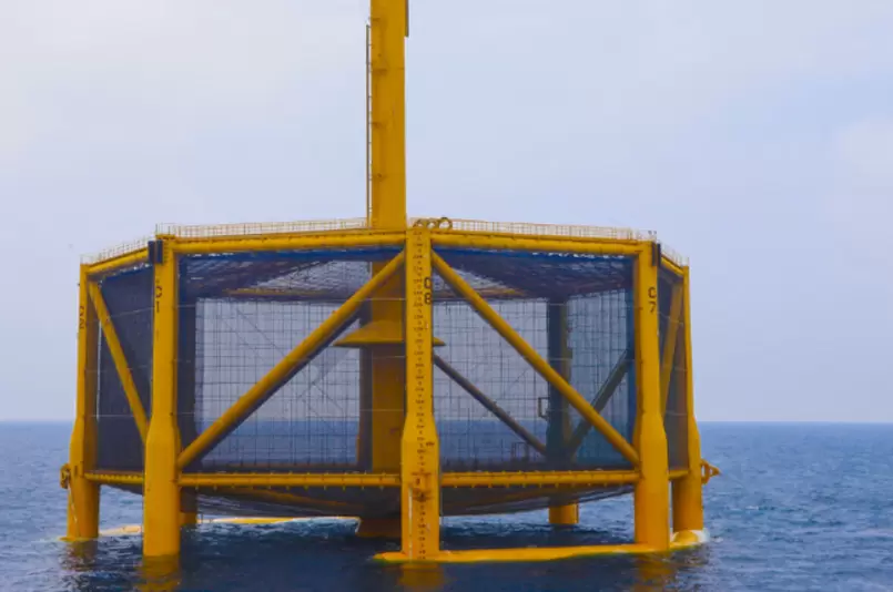 Proyecto de construcción de jaulas antiolas y jaulas para pesca recreativa