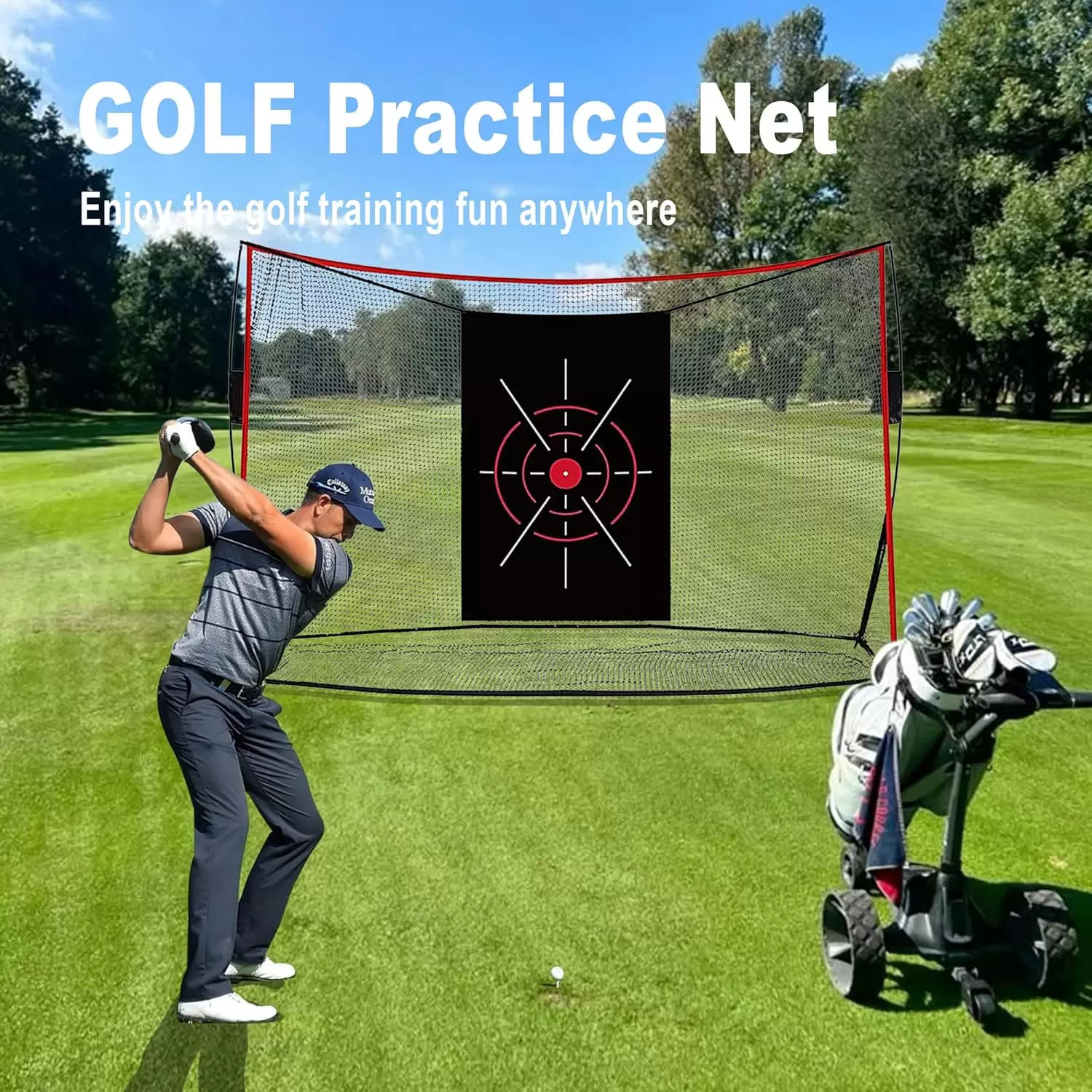 Red de pr&aacute;ctica de golf I